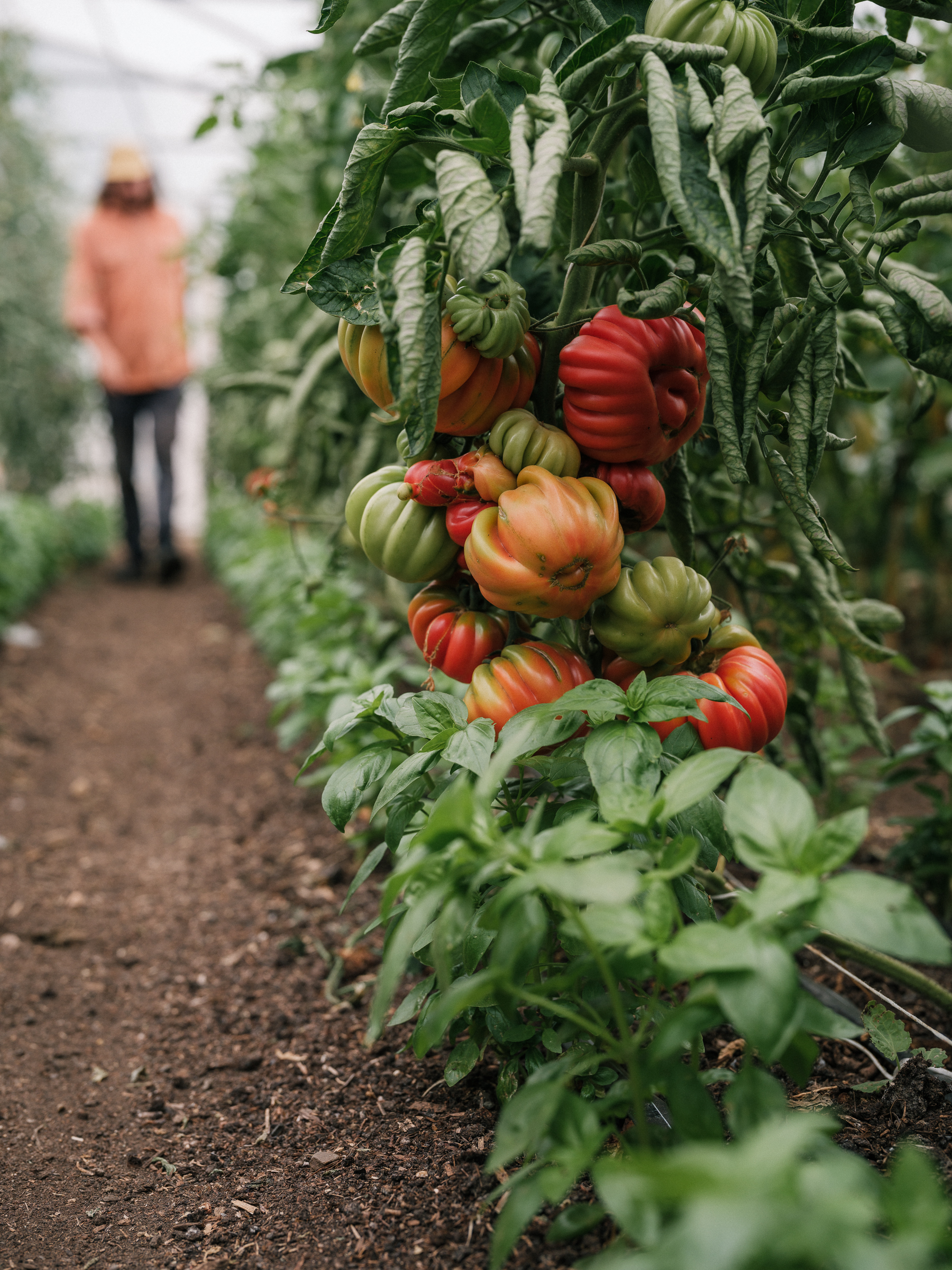 End of Tomato Season Dinner
